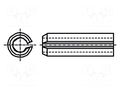 Springy stud; hardened steel; BN 876; Ø: 4mm; L: 10mm; DIN 1481 BOSSARD B4X10/BN876