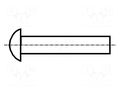 Rivet; brass; Rivet diam: 1.55mm; L.rivet: 4.8mm; Øhead: 2.8mm KEYSTONE KEYS3383