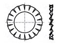 Washer; externally serrated; M7; D=12.5mm; h=0.8mm; spring steel BOSSARD B7/BN781