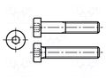 Screw; M8x25; 1.25; Head: cheese head; hex key; HEX 5mm; steel; zinc BOSSARD B8X25/BN17