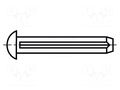 Rivet pin; BN 688; L.rivet: 4mm; Rivet diam: 2mm BOSSARD B2X4/BN688