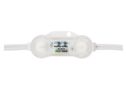 BERGMEN LED module RX-2 Stark / 12VDC / 0,48W / 2 x 5050 SMD / IP68 / blue 01-001-038-07-04 5903268404311