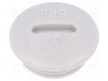 Stopper; PG9; IP54; polyamide; light grey; SKINDICHT®; 6mm LAPP LP-52024849