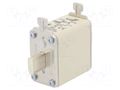 Fuse: fuse; 80A; 690VAC; gG; ceramic,industrial; NH00 DF ELECTRIC DF-382060