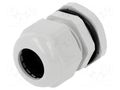 Cable gland; PG21; IP68; polyamide; grey PAWBOL PW-D.3075
