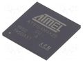 IC: ARM microprocessor; ARM926; 0.9÷1.1VDC; SMD; LFBGA217; PWM: 4 MICROCHIP TECHNOLOGY AT91SAM9X25-CU