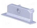 Cap for LED profiles; silver; 2pcs; ABS; GEN2,with hole; GROOVE14 TOPMET TOP-A3980040