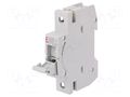 Fuse disconnector; D01; for DIN rail mounting; 10A; 230/400VAC ETI POLAM 002261002