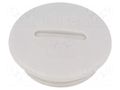 Stopper; PG16; polyamide PMA I-514-16
