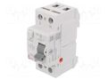 RCD breaker; Inom: 32A; Ires: 30mA; Poles: 2; 230V,400V; IP20; EFI ETI POLAM 002061217