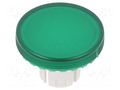 Actuator lens; 22mm; 61; transparent,green; plastic EAO 61-9642.5