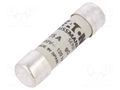 Fuse: fuse; 25A; 500VAC; gG; ceramic,cylindrical,industrial BUSSMANN C10G25