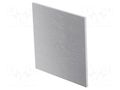 Front panel; for enclosures; aluminium ITALTRONIC IT-06.2920000