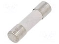 Fuse: fuse; 6.3A; 250VAC; time-lag; ceramic,cylindrical; 5x20mm ESKA 522625