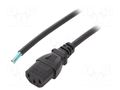 Cable; 3x0.75mm2; IEC C13 female,wires; PVC; 0.5m; black; 10A; 250V LIAN DUNG SN31-3/07/0.5BK