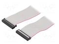 Ribbon cable with IDC connectors; Tape ph: 1.27mm; 0.6m CONNFLY DS1052-402B2MA2060