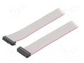 Ribbon cable with IDC connectors; Tape ph: 1.27mm; 0.6m CONNFLY DS1052-202B2NA2060
