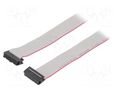 Ribbon cable with IDC connectors; Tape ph: 1.27mm; 0.6m CONNFLY DS1052-162B2NA2060