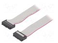 Ribbon cable with IDC connectors; Tape ph: 1.27mm; 0.3m CONNFLY DS1052-162B2MA2030