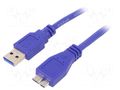 Cable; USB 3.0; USB A plug,USB B micro plug; 3m; blue; Cablexpert GEMBIRD CCP-MUSB3-AMBM-10