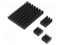 Heatsink; black; aluminium; 3pcs; thermal adhesive tape DFROBOT DF-FIT0818