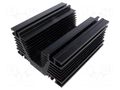 Heatsink: extruded; grilled; black; L: 200mm; W: 176mm; H: 98mm SEIFERT ELECTRONIC KL-189/200/SW/L