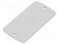 Front panel; aluminium; W: 30.8mm; L: 59.9mm; Thk: 2mm TEKO ALP1.1