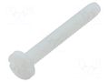 Screw; UNC6-32x25.4; Head: cheese head; slotted; polyamide KEYSTONE KEYS9339