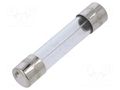 Fuse: fuse; 250mA; 250VAC; time-lag; glass; 6.3x32mm; TSA; brass OPTIFUSE TSA-250MA