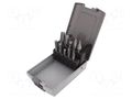 Rotary burr; cemented carbide; Drill Bit: for metal; 6mm; 10pcs. BETA BE426MD/SP10