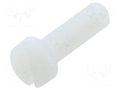 Screw; M6x20; 1; Head: cheese head; slotted; 1.7mm; polyamide; 8G201 DREMEC DR8G201M6X20