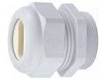 Cable gland; for flat cable; M25; 1.5; IP65; polyamide; grey HUMMEL HUMMEL-1587250050