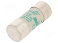 Fuse: fuse; 125A; 690VAC; aM; ceramic,cylindrical,industrial DF ELECTRIC 442015