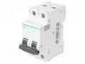 Circuit breaker; 500VDC; Inom: 40A; Poles: 2; Charact: C; 20kA; IP20 SCHNEIDER ELECTRIC A9N61537