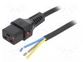 Cable; IEC C19 female,wires; PVC; 5m; with IEC LOCK locking; 10A IEC LOCK IEC-PC1371