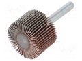 Grinding pin; Granularity: 80; Mounting: rod 6mm; flap,with lever PG PROFESSIONAL PG-RG.041