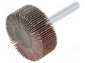 Grinding pin; Granularity: 120; Mounting: rod 6mm; Ø40x15mm PG PROFESSIONAL PG-RG.082