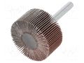 Grinding pin; Granularity: 120; Mounting: rod 6mm; Ø40x20mm PG PROFESSIONAL PG-RG.083
