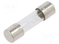 Fuse: fuse; 1.25A; 250VAC; time-lag; cylindrical,glass; 5x20mm EATON/BUSSMANN BK1-S506-1-25-R