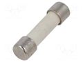 Fuse: fuse; 10A; 250VAC; ultra rapid; ceramic,cylindrical; 5x20mm SCHURTER 0034.0911