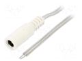 Cable; 2x0.5mm2; wires,DC 5,5/2,1 socket; straight; transparent BQ CABLE DC.CAB.8010.0020