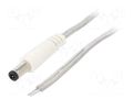 Cable; 2x0.5mm2; wires,DC 5,5/2,5 plug; straight; transparent; 5m BQ CABLE DC.CAB.8610.0500