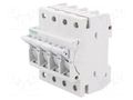 Fuse disconnector; D01; for DIN rail mounting; 16A; Poles: 3+N SCHNEIDER ELECTRIC MGN01716