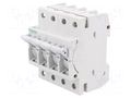 Fuse disconnector; D01; for DIN rail mounting; 16A; Poles: 3+N SCHNEIDER ELECTRIC MGN01716