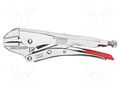 Pliers; locking; Pliers len: 250mm; Grip capac: 0÷42mm RENNSTEIG REN.1632505