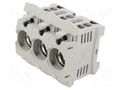 Fuse holder; D02; for DIN rail mounting; 63A; 400V; Poles: 3 MERSEN Z1032492