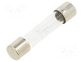 Fuse: fuse; 10A; 250VAC; quick blow; glass; 6.3x32mm; FSA; brass OPTIFUSE FSA-10A