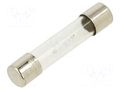 Fuse: fuse; 315mA; 250VAC; time-lag; glass; 6.3x32mm; TSA; brass OPTIFUSE TSA-315MA