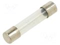 Fuse: fuse; 600mA; 250VAC; time-lag; glass; 6.3x32mm; TSA; brass OPTIFUSE TSA-600MA