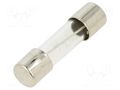 Fuse: fuse; 250mA; 250VAC; time-lag; glass; 5x20mm; TSC; brass; bulk OPTIFUSE TSC-250MA